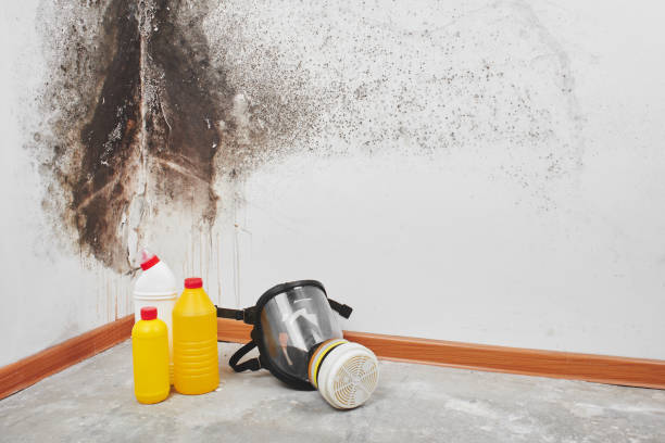 Best Mold Testing  in Riverwoods, IL