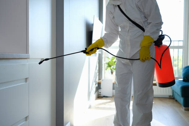 Best Affordable Mold Removal  in Riverwoods, IL