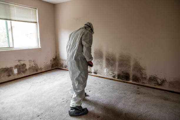 Best Mold Testing  in Riverwoods, IL